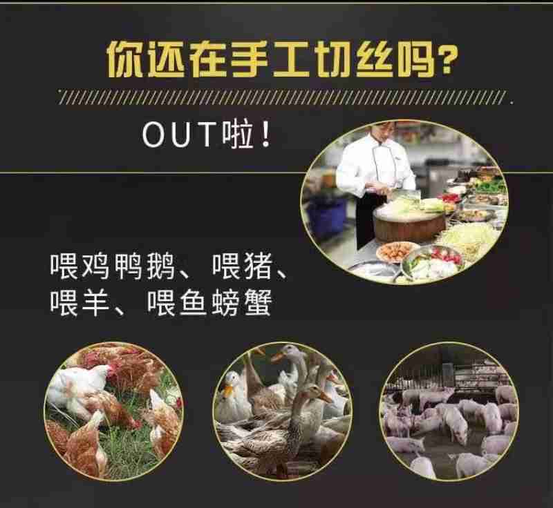 孩子们在博物馆中沉浸式感受中华优秀传统文化之美